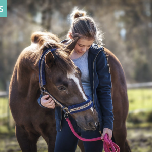 Colonie de vacances : une colo équitation pour les 10-16 ans en stage progression à cheval