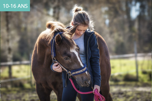 Colonie de vacances : une colo équitation pour les 10-16 ans en stage progression à cheval