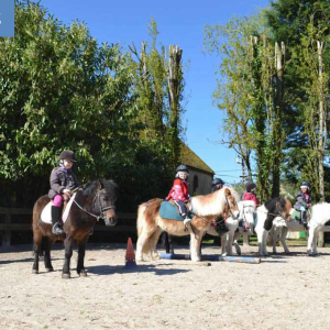 Colonie de vacances : une colo équitation pour les 7-10 ans, stage poney ou cheval pour progresser tout en s'amusant