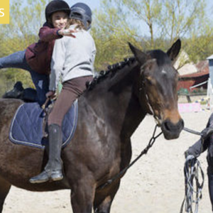 Séjour Multi-activités équitation : une colo multi-activités ados pour les 10-16 ans, stage cheval tout en douceur