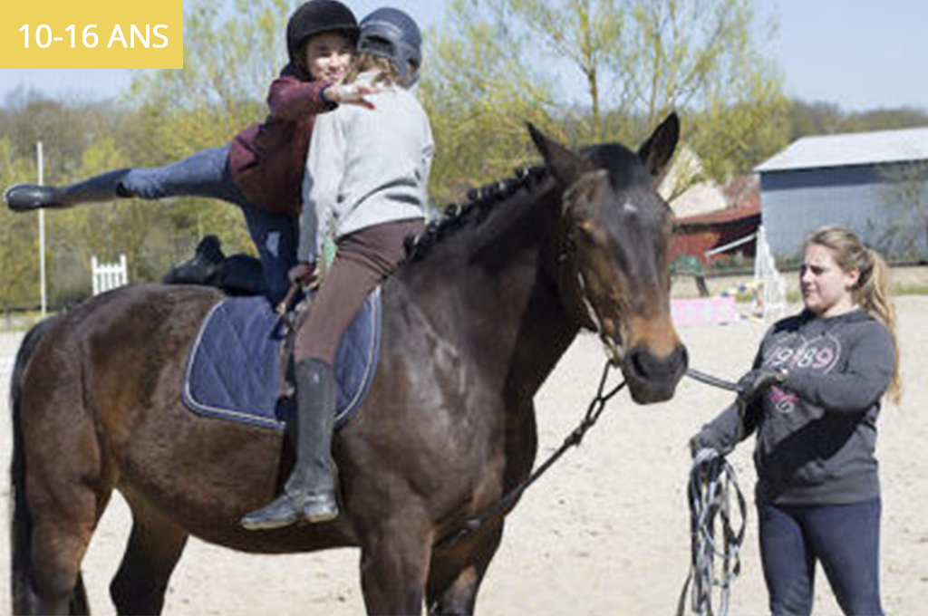 Séjour Multi-activités équitation : une colo multi-activités ados pour les 10-16 ans, stage cheval tout en douceur